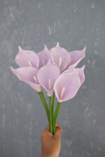 Lila 8'li Gala Demet