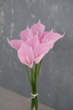 Pembe 8'li Gala Demet - Görsel 2