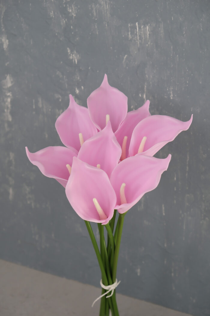Pembe 8'li Gala Demet - Görsel 3