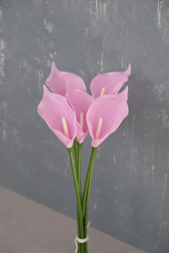 Pembe 5'li Gala Demet - Görsel 5