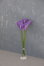 Mor 5'li Gala Demet - Görsel 4