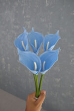 Bebe Mavi 5’li Gala Demet