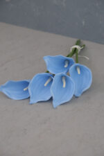 Bebe Mavi 5’li Gala Demet - Görsel 3