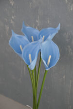 Bebe Mavi 5’li Gala Demet - Görsel 4