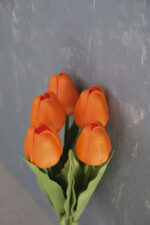 Turuncu 5’li Lale Demet - Görsel 5