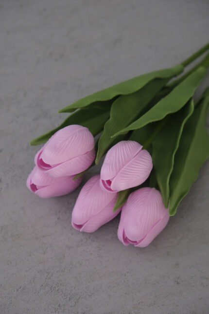 Pembe 5’li Lale Demet