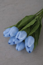 Bebe Mavi 8’li Lale Demet